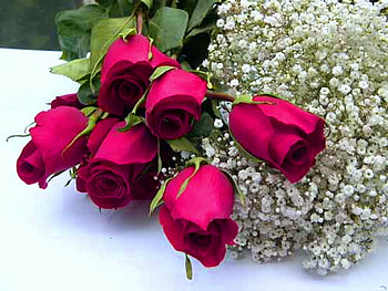 Happy birtay & Happy Easter Miss Kate, roses, birtay, easter, gift, celebration HD wallpaper