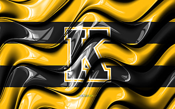 Kingston Frontenacs flag, , yellow and black 3D waves, OHL, canadian hockey team, Kingston Frontenacs logo, hockey, Kingston Frontenacs, Canada HD wallpaper