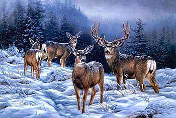 Deers in the Winter, winter, trees, animals, snow HD wallpaper