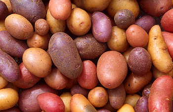 Potato , High definition, Background , Digital display HD wallpaper