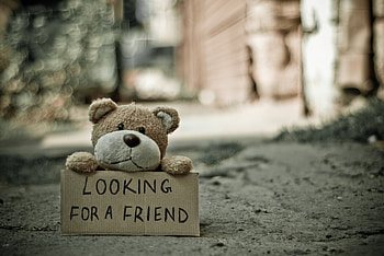 Teddy Bear, Words, Toy, Inscription HD wallpaper