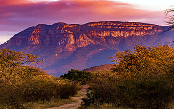 Bush trail, Moditlo Game Reserve, Limpopo, South Africa, trees, landscape, clouds, sky, mountains HD wallpaper