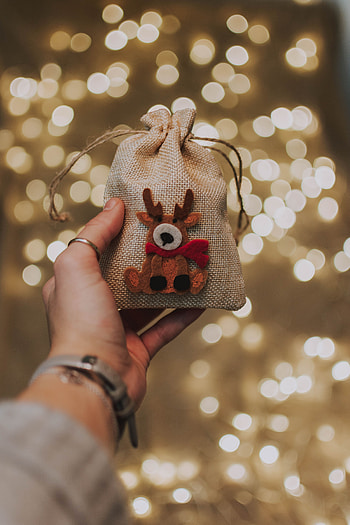 Holidays, New Year, Hand, Christmas, Present, Gift, Deer HD phone wallpaper