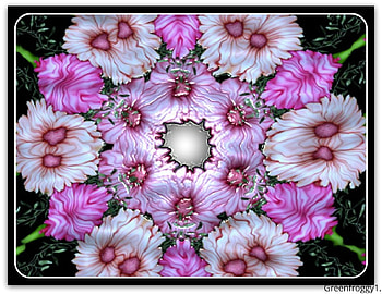 PLASTIC DAISIES, PRETTY, DAISIES, , PLASTIC HD wallpaper