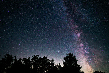 Trees, Stars, Texture, Textures, Starry Sky, Nebula HD wallpaper