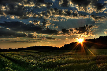 Sunset, scenery, graphy, field, beautiful, nature HD wallpaper