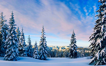 Nature In Winter, hills, snow, landscape, clouds, trees, sky HD wallpaper