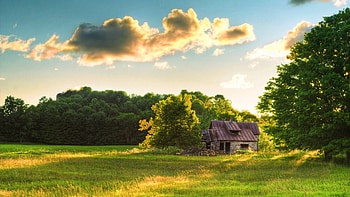 abandoned stone house in a clearing, abandoned, house, clouds, clearing, stone, sun, forest HD wallpaper