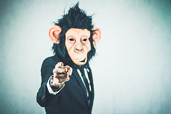 Hand, Miscellanea, Miscellaneous, Monkey, Mask HD wallpaper