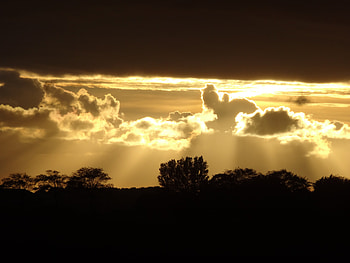 Nature, Trees, Sunset, Silhouette, Beams, Rays HD wallpaper