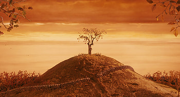 Mr. Fox Apple Hill, fox, hill, movie, Fantastic Mr. Fox HD wallpaper