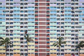 Vibrant facade of an apartment building in Hong Kong with palm trees in the foreground. HD wallpaper