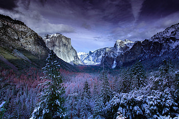 Snow Forests Yosemite Scenery , yosemite, national-park, nature, mountains, sky HD wallpaper