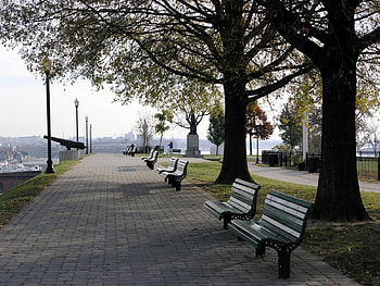 Landscape, Trees, Streets HD wallpaper