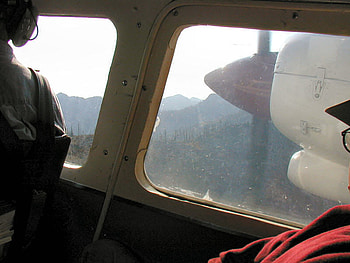 Close call, people, window, passenger, airplane HD wallpaper