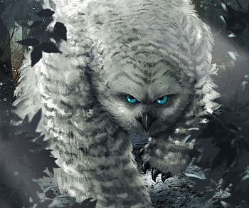 movie, Dungeons & Dragons: Honor Among Thieves HD wallpaper