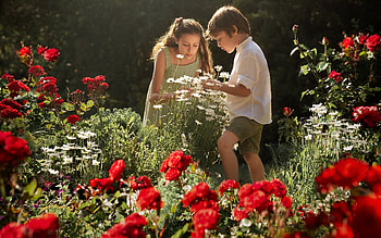 Kids in Rose Garden, kids, garden, roses, friends HD wallpaper