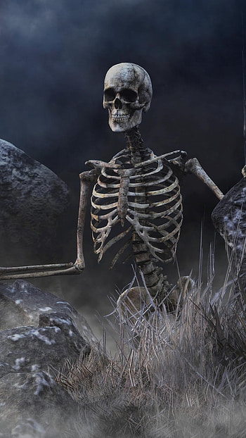 Skeleton, Horror HD phone wallpaper