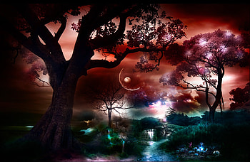 Amazing, trees, moon, water, color HD wallpaper