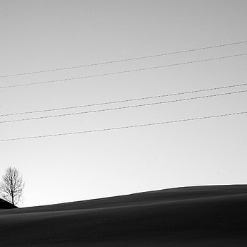 Wood, Tree, Minimalism, Bw, Chb, Wires, Wire HD wallpaper