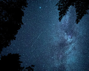 Stars, Night, Dark, Branches, Starfall HD wallpaper