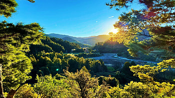 Makaretu River, the gateway to the Ruahine Ranges, North Island New Zealand, plants, landscape, trees, sky, sun HD wallpaper