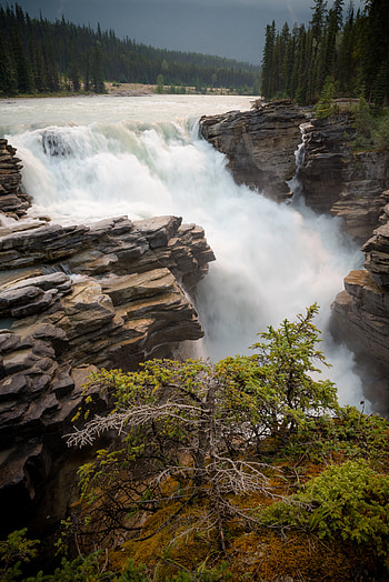 Nature, Trees, Rocks, Waterfall, Flow, Slope, Stream HD phone wallpaper