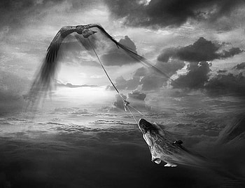 I FLY ..., digital, abstract, graphy, art, imagination, bw, fly HD wallpaper