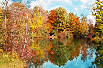 Autumn Lake, reflection, trees, autumn, nature, forest, lake HD wallpaper