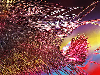 Baby Nest, crystalized hair, coloured stripes HD wallpaper