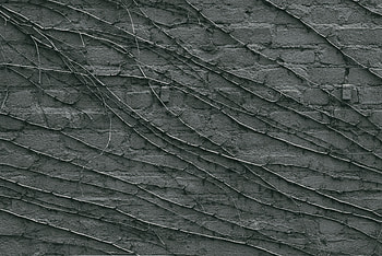 Texture, Textures, Surface, Branches, Wall, Grey HD wallpaper