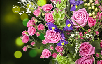 Happy Mother's Day!, bokeh, bouquet, purple, rose, pink, day, flower, green, mother, card HD wallpaper