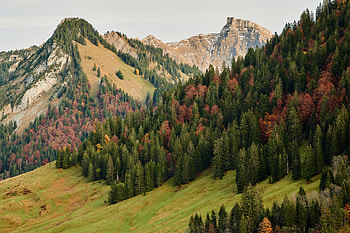 Nature, Trees, Mountains, Autumn, Forest, Slope HD wallpaper