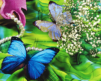 All the beauty and colours (for Cherie), blue, necklace, colours, beauty, butterflies, butterfly, green, pearls, flowers, cloth, colourful HD wallpaper