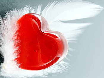 Love, Feather, Heart, Pen HD wallpaper
