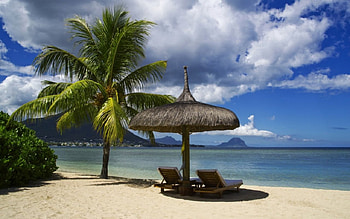 Tropical Beach, sea, sand, palm, paradise, beach, vacation, summer, trees, nature, ocean HD wallpaper