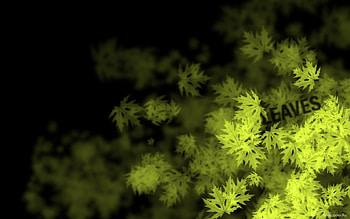Plants, Background, Leaves HD wallpaper