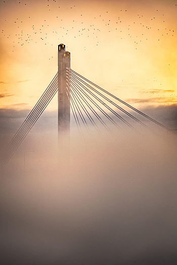 Birds, Sunset, Twilight, Clouds, Miscellanea, Miscellaneous, Dusk, Bridge HD phone wallpaper