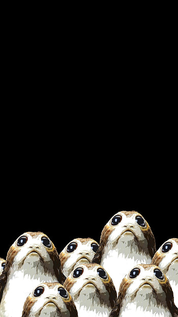 Star Wars: The Last Jedi (2022) movie HD phone wallpaper