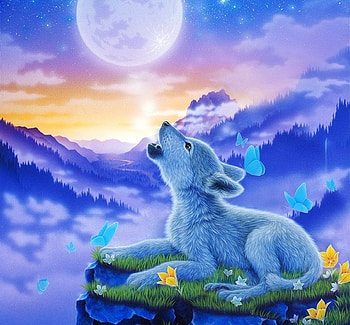 Baby Wolf in Spring, dog, paintings, wolf, spring, butterflies, baby wolf, animals, butterfly designs, nature, flowers, moons HD wallpaper