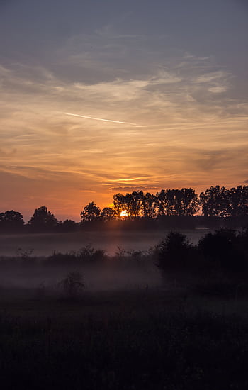 Beautiful sunset in Rheinsberg, Germany with mist covering a meadow and silhouetted trees. HD phone wallpaper