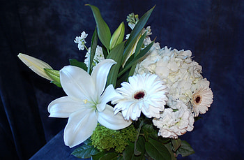 Flowers, Lilies, Gerberas, Bouquet, Hydrangea, Snow White, Snow-White HD wallpaper
