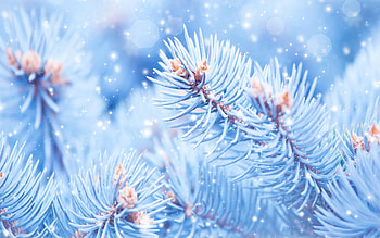 Winter , Ultra , Snow-covered scenery, Frosty landscapes HD wallpaper