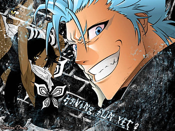 bleach cats, grimmjow, yourichi HD wallpaper