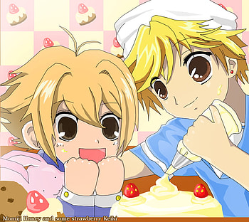 cuteness and sweets to go around!, ouran host club, momiji, kawaii , honey senpai HD wallpaper