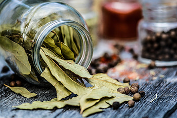 Laurel bay leaves, Cooking essential, Spices, Lazada PH HD wallpaper