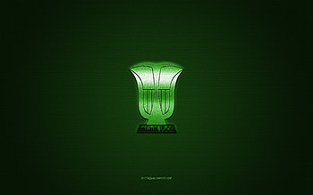 Club Atletico Palmaflor, Bolivia football club, green logo, green carbon fiber background, Bolivian Primera Division, football, Quillacollo, Bolivia, Club Atletico Palmaflor logo HD wallpaper