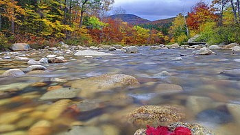 New Hampshire , Variety of options, quality HD wallpaper