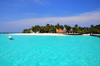 Nature, Beach, Tropics, Island, Maldives HD wallpaper