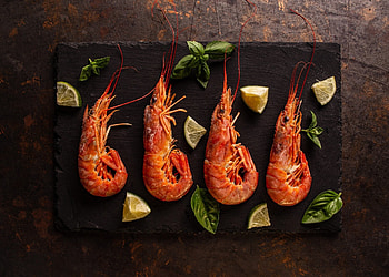 Shrimp, sea, animal, food HD wallpaper